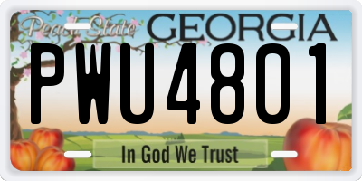 GA license plate PWU4801