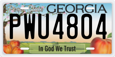 GA license plate PWU4804