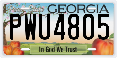 GA license plate PWU4805