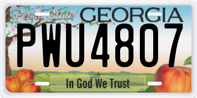 GA license plate PWU4807