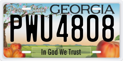 GA license plate PWU4808