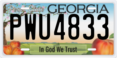 GA license plate PWU4833