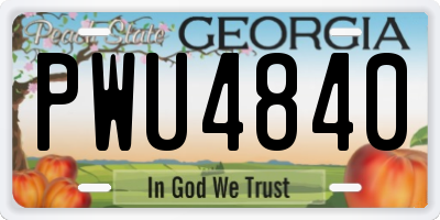 GA license plate PWU4840