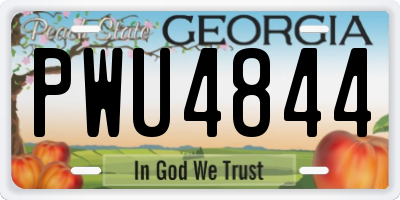 GA license plate PWU4844