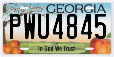 GA license plate PWU4845