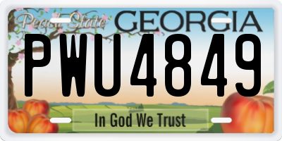 GA license plate PWU4849