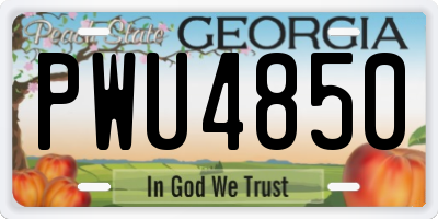 GA license plate PWU4850