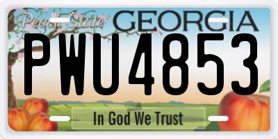 GA license plate PWU4853