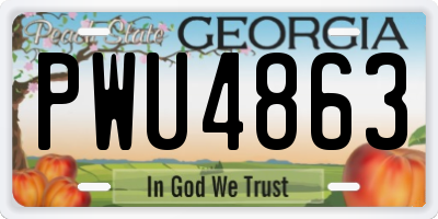 GA license plate PWU4863