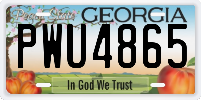 GA license plate PWU4865