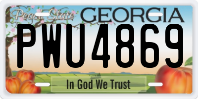 GA license plate PWU4869