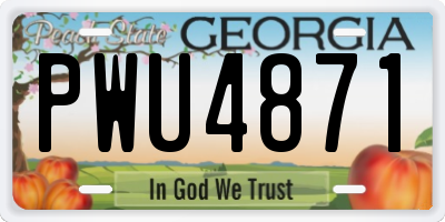 GA license plate PWU4871