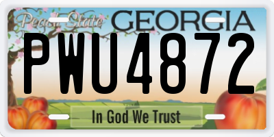GA license plate PWU4872