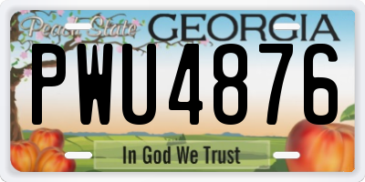 GA license plate PWU4876