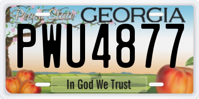 GA license plate PWU4877