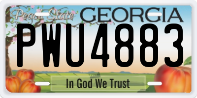 GA license plate PWU4883