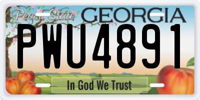 GA license plate PWU4891