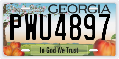 GA license plate PWU4897