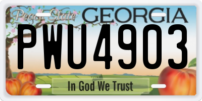 GA license plate PWU4903