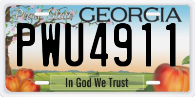 GA license plate PWU4911