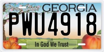 GA license plate PWU4918