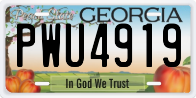 GA license plate PWU4919