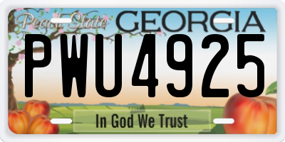 GA license plate PWU4925