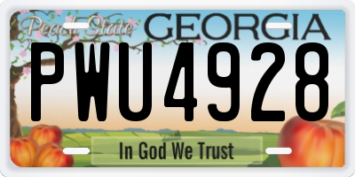 GA license plate PWU4928