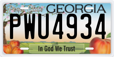 GA license plate PWU4934