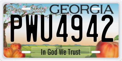 GA license plate PWU4942