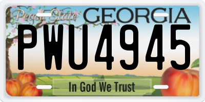 GA license plate PWU4945