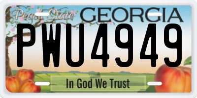 GA license plate PWU4949