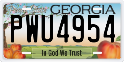 GA license plate PWU4954