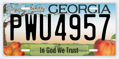 GA license plate PWU4957