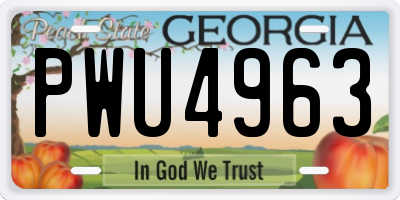 GA license plate PWU4963