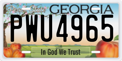 GA license plate PWU4965