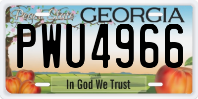 GA license plate PWU4966