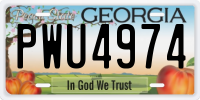 GA license plate PWU4974