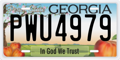 GA license plate PWU4979