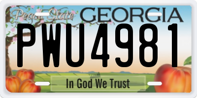 GA license plate PWU4981