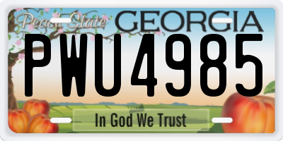 GA license plate PWU4985