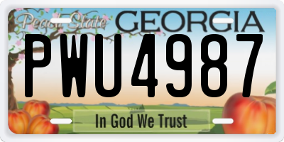 GA license plate PWU4987