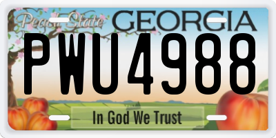 GA license plate PWU4988