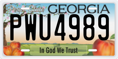 GA license plate PWU4989