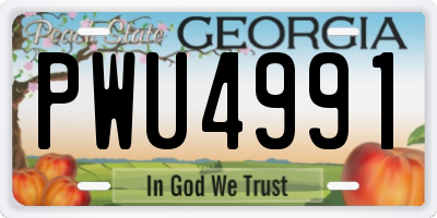 GA license plate PWU4991