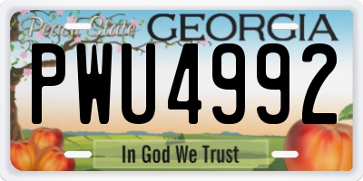 GA license plate PWU4992
