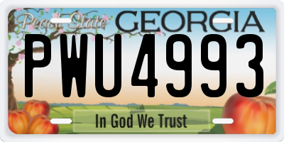 GA license plate PWU4993
