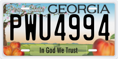 GA license plate PWU4994