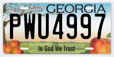 GA license plate PWU4997
