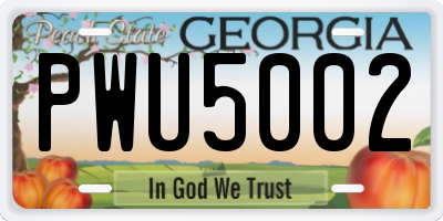 GA license plate PWU5002